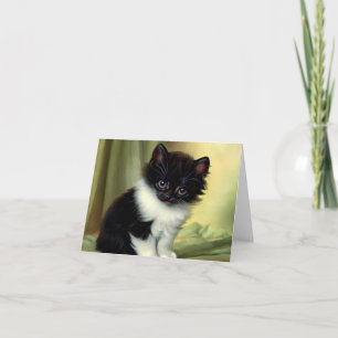 Vintage Tuxedo Kitten Illustration Invitation