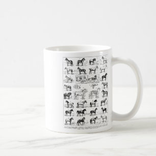 Vintage Types Of Horses Horse Breed Horseback Ridi Coffee Mug