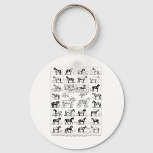 Vintage Types Of Horses Horse Breed Horseback Ridi Key Ring