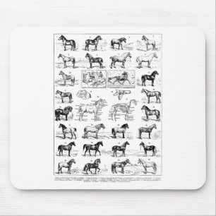 Vintage Types Of Horses Horse Breed Horseback Ridi Mouse Mat