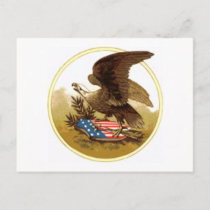 Vintage U.S. American Eagle Postcard