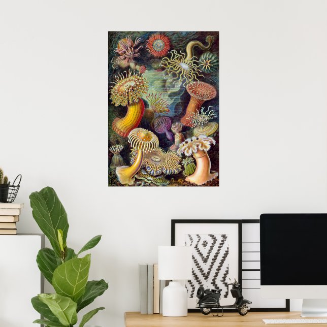 Vintage Underwater Sea Anemones by Ernst Haeckel Poster (Home Office)