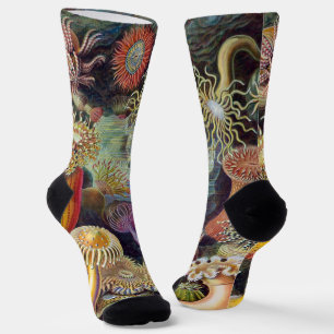 Vintage Underwater Sea Anemones by Ernst Haeckel Socks