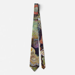 Vintage Underwater Sea Anemones by Ernst Haeckel Tie