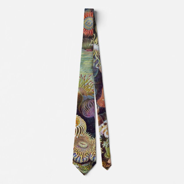 Vintage Underwater Sea Anemones by Ernst Haeckel Tie (Front)
