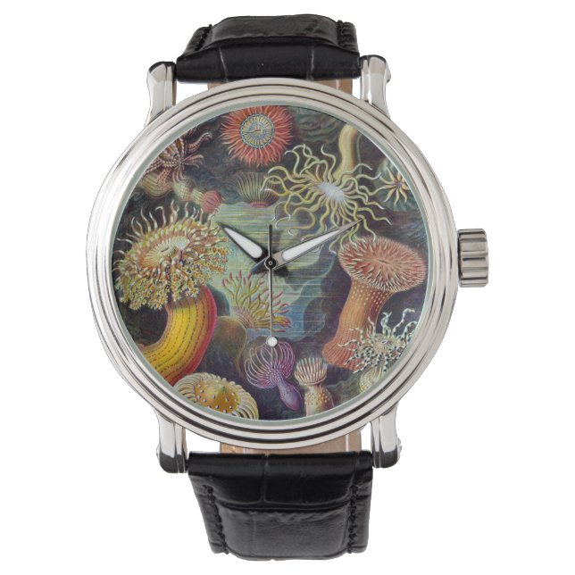 Vintage Underwater Sea Anemones by Ernst Haeckel Watch (Front)