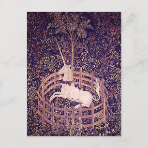 Vintage Unicorn In Captivity Tapestry Postcard