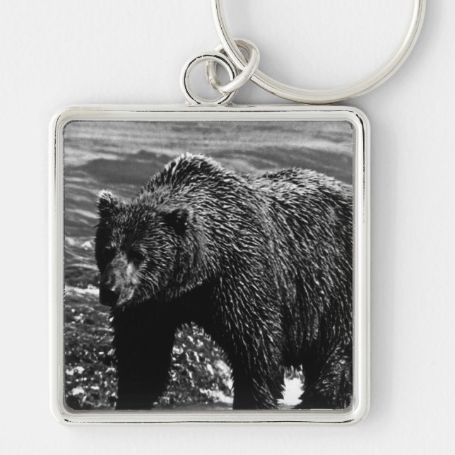 Vintage USA Alaska brown bear 1970 Key Ring (Front)