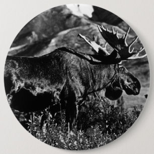 Vintage USA Alaska bull moose 6 Cm Round Badge