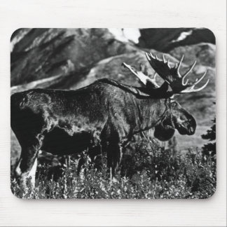 Vintage USA Alaska bull moose Case-Mate Samsung Ga Mouse Mat