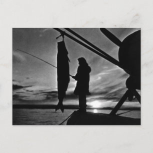 Vintage USA Alaska float plane fishing Postcard