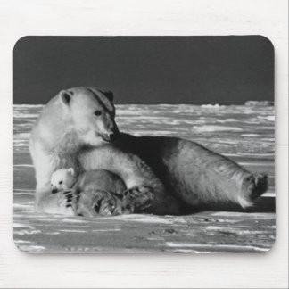 Vintage USA Alaska mother polar bear 1970 iPad Sma Mouse Mat