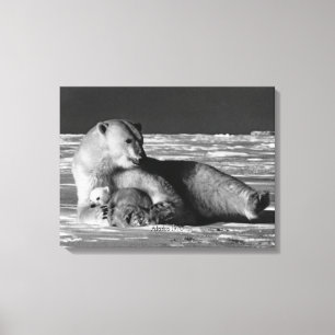 Vintage USA Alaska mother polar bear Canvas Print