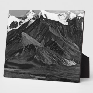 Vintage USA Alaska Mt Mckinley national park 1970 Plaque