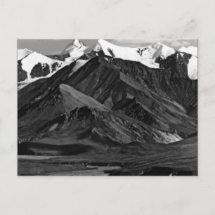 Vintage USA Alaska Mt Mckinley national park Postcard