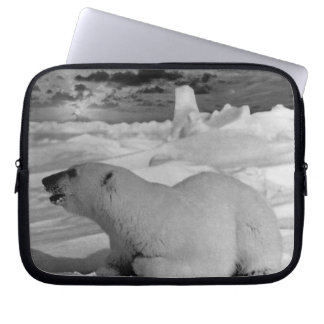 Vintage USA Alaska polar bear Case-Mate iPhone Cas Laptop Sleeve