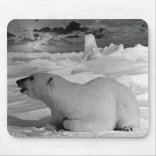 Vintage USA Alaska polar bear Case-Mate iPhone Cas Mouse Mat