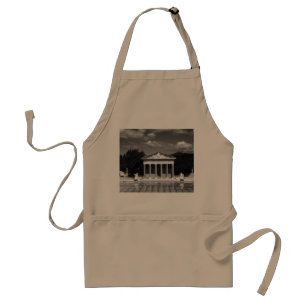 Vintage USA California San Simeon Neptune pool Standard Apron