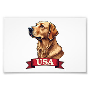 Vintage USA Golden Retriever Engraving Shirt Photo Print