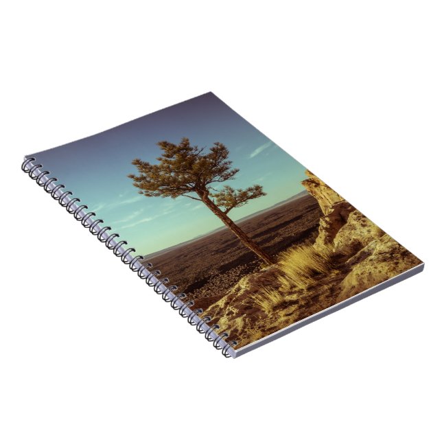 Vintage USA Landscape Notebook (Right Side)