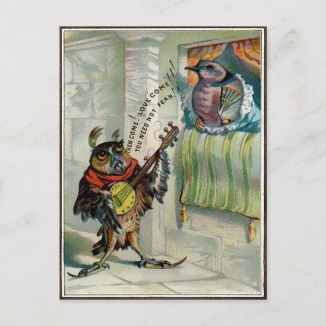 Vintage Valentine Owl Postcard (Front)