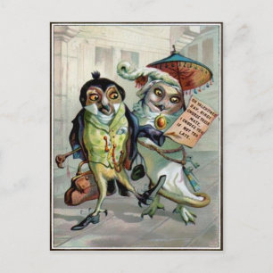 Vintage Valentine Owls Postcard