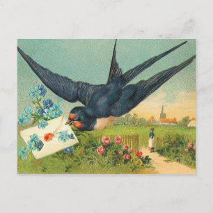 Vintage Valentine Postcard