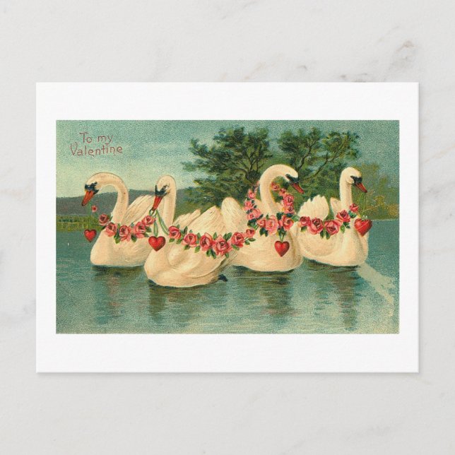 Vintage Valentine Swans Holiday Postcard (Front)