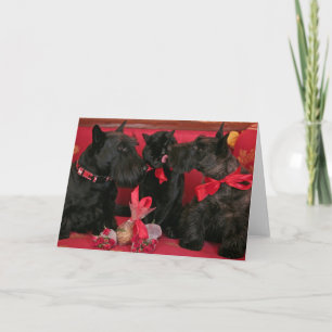 Vintage : Valentine's day - Holiday Card