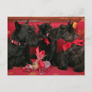 Vintage: Valentine's day - Holiday Postcard