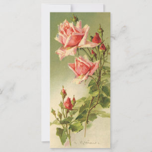 Vintage Valentine's Day Pink Victorian Garden Rose