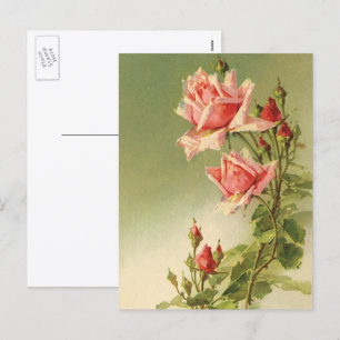 Vintage Valentine's Day Pink Victorian Garden Rose Holiday Postcard