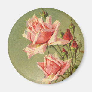Vintage Valentine's Day Pink Victorian Garden Rose Magnet
