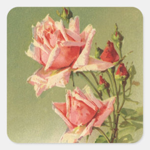 Vintage Valentine's Day Pink Victorian Garden Rose Square Sticker