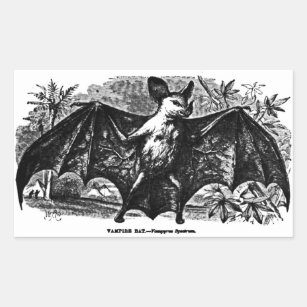 Vintage Vampire Bat Sticker