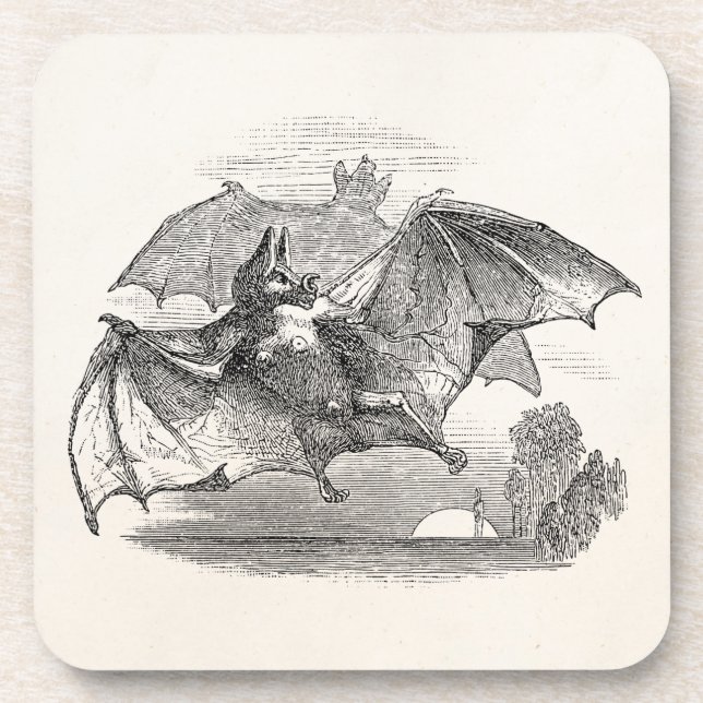Vintage Vampire Bats Personalised Retro Bats Coaster (Front)
