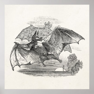 Vintage Vampire Bats Personalised Retro Bats Poster