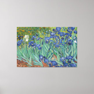 Vintage Van Gogh Irises Canvas Print