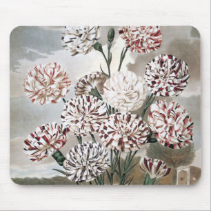 Vintage Variegated Carnation Flowers with Grey Sky Mouse Mat
