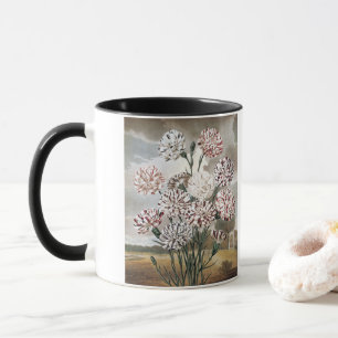 Vintage Variegated Carnation Flowers with Grey Sky Mug