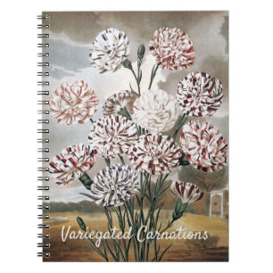 Vintage Variegated Carnation Flowers with Grey Sky Notebook
