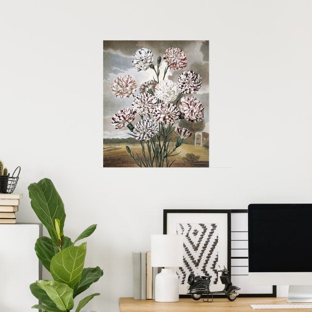 Vintage Variegated Carnation Flowers with Grey Sky Poster (Home Office)