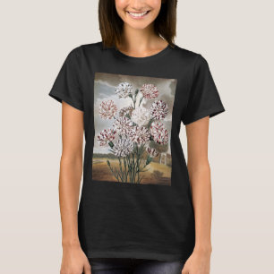 Vintage Variegated Carnation Flowers with Grey Sky T-Shirt