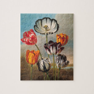 Vintage Variegated Tulip Flowers in a Landscape Jigsaw Puzzle