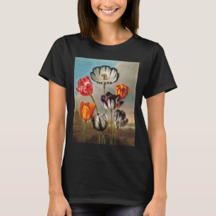 Vintage Variegated Tulip Flowers in a Landscape T-Shirt