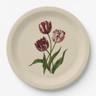 Vintage Variegated Tulips Paper Plate