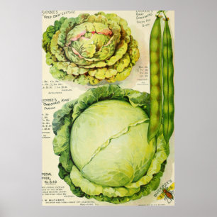 Vintage Vegetable Advertisement (1907) Poster