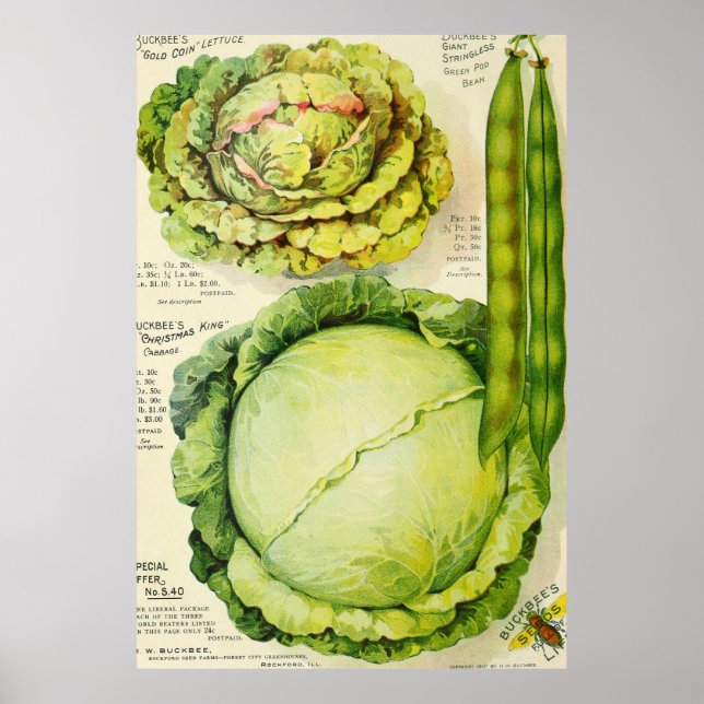 Vintage Vegetable Advertisement (1907) Poster (Front)