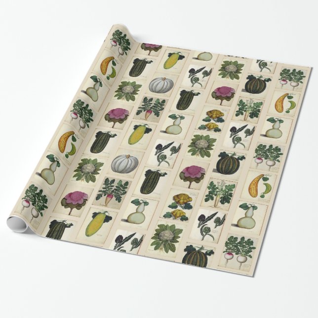 Vintage Vegetable Botanical Prints Wrapping Paper (Unrolled)