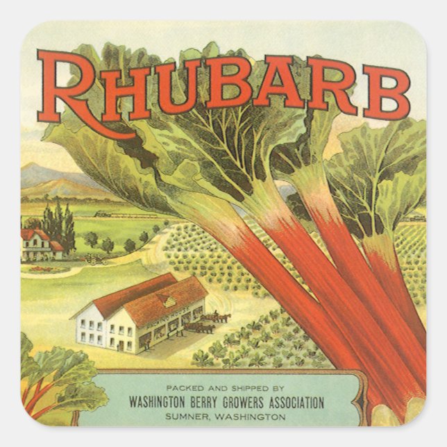 Vintage Vegetable Can Label Art, Rhubarb Farm (Front)